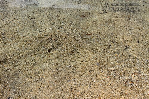 IMG_3571_r